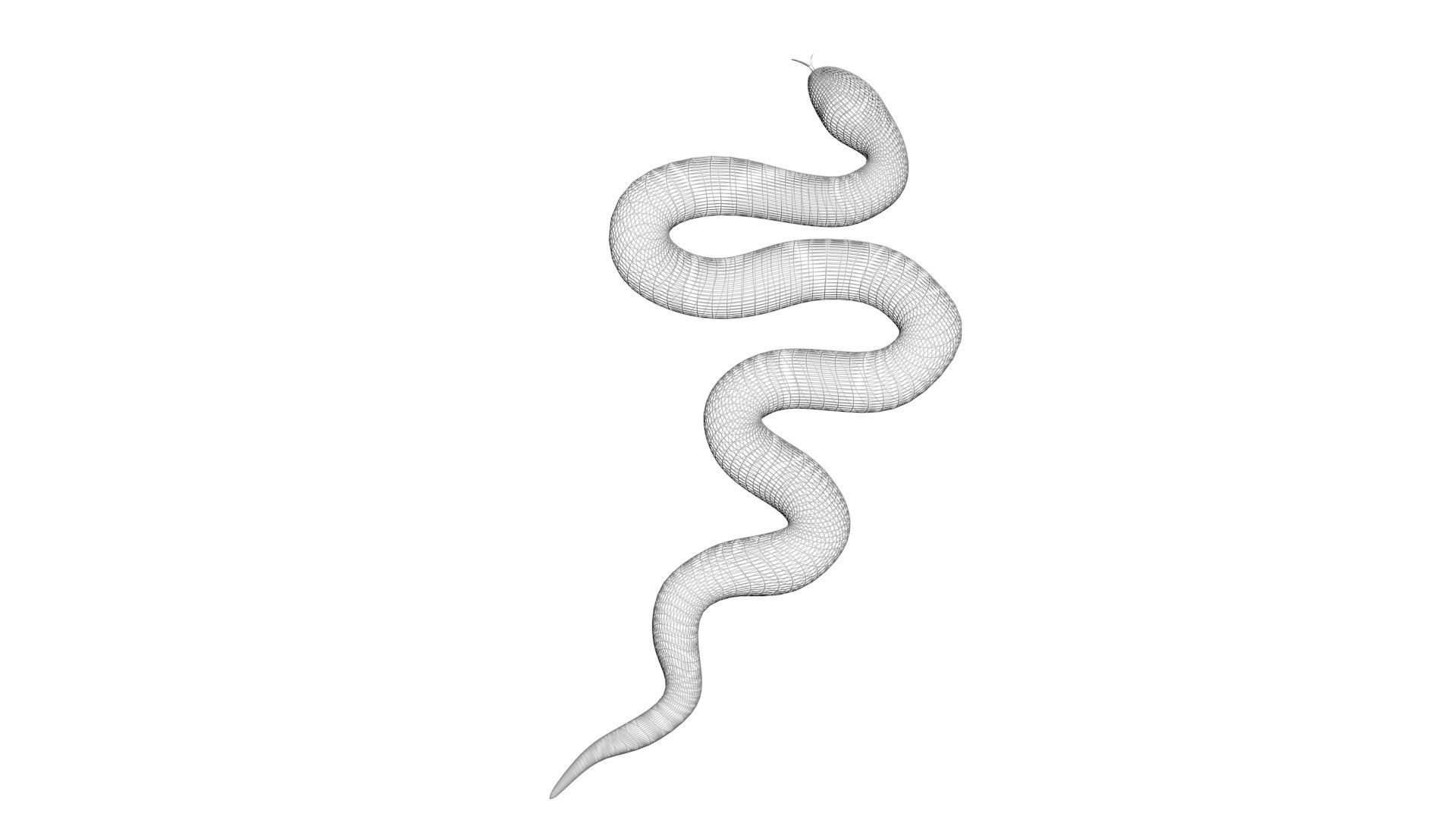 Snake 3D model_13