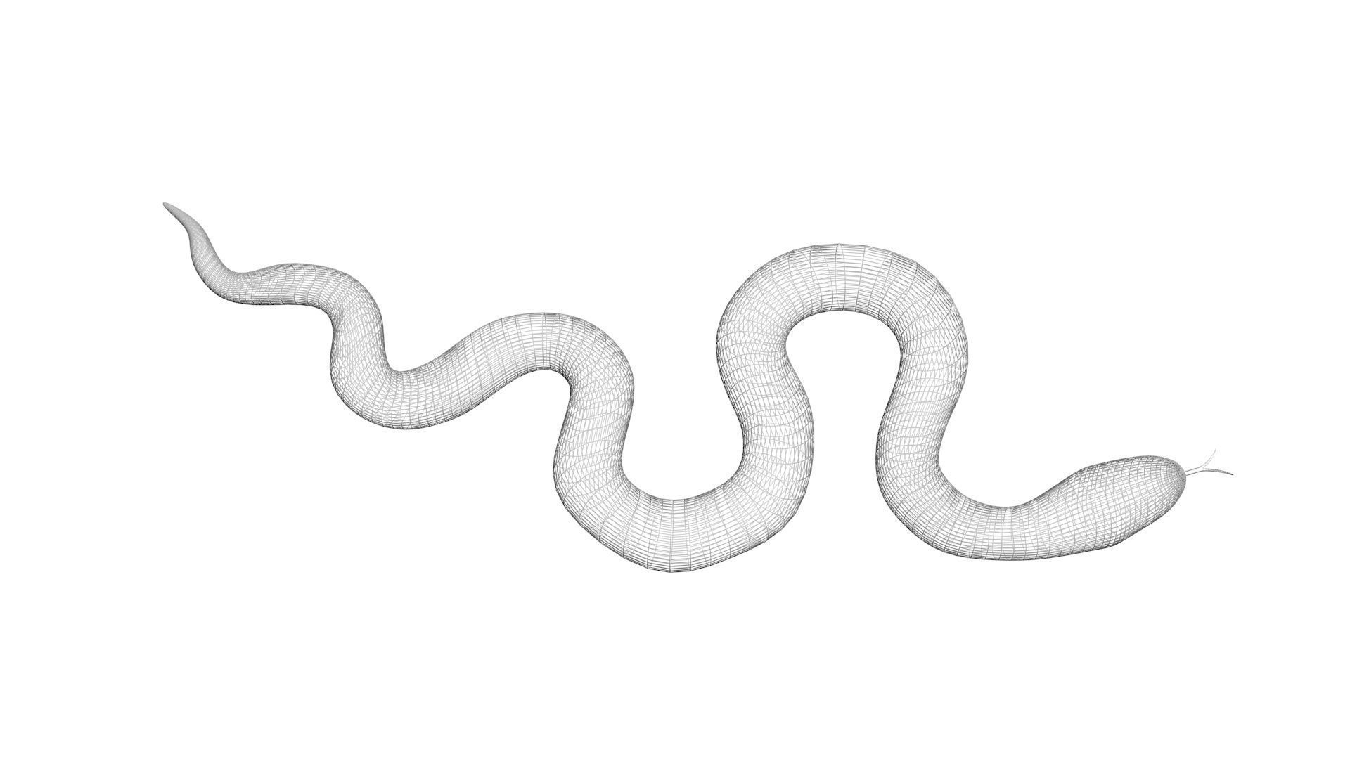 Snake 3D model_14