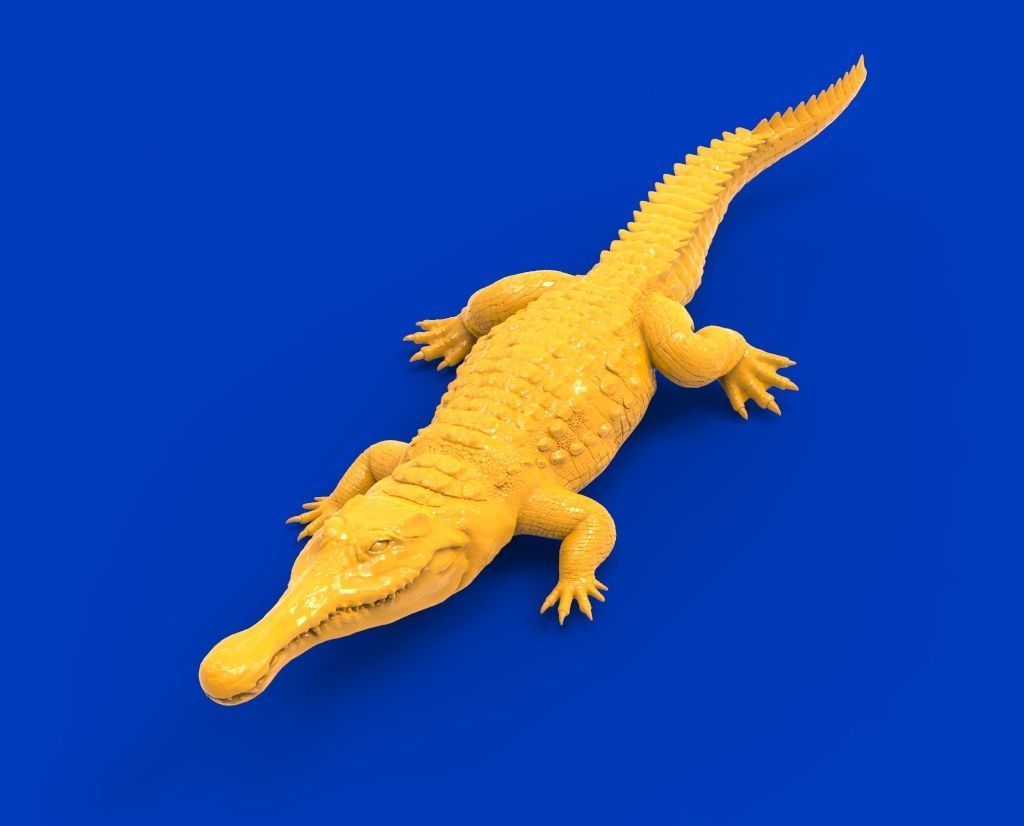 Fierce crocodile 3D print model_1