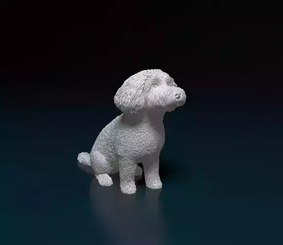 Mini Poodle cross 3D print model