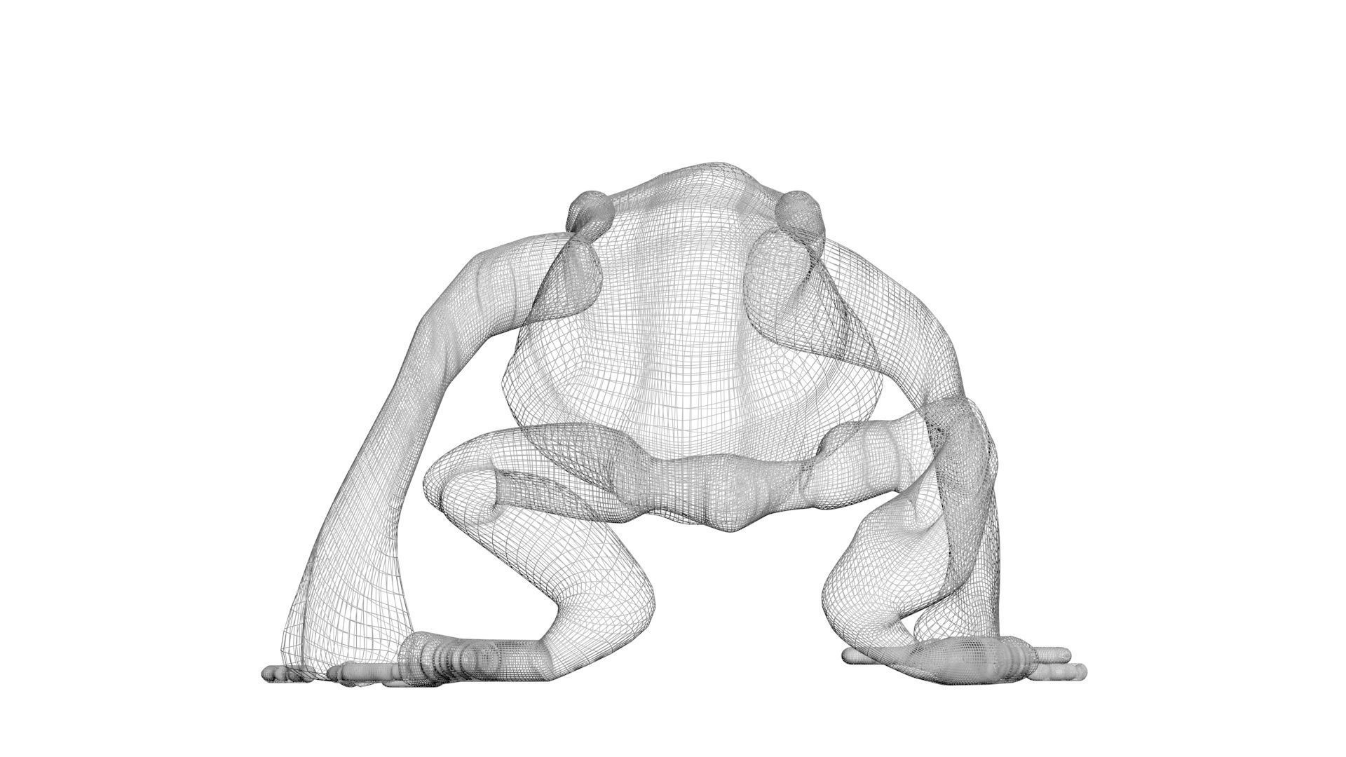 Yellow and Black Poison Dart Frog 3D model_22