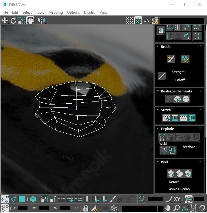 Yellow and Black Poison Dart Frog 3D model_27