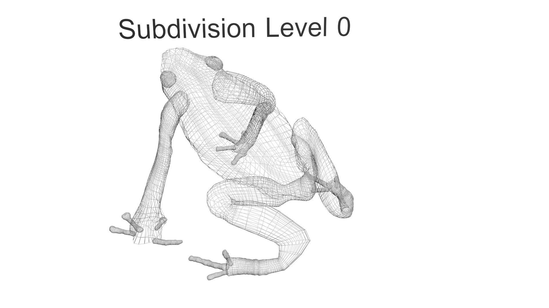 Yellow and Black Poison Dart Frog 3D model_25