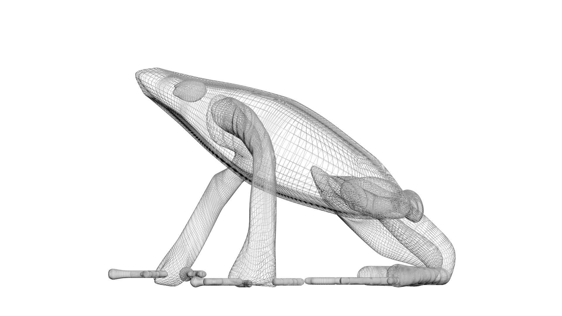 Yellow and Black Poison Dart Frog 3D model_21