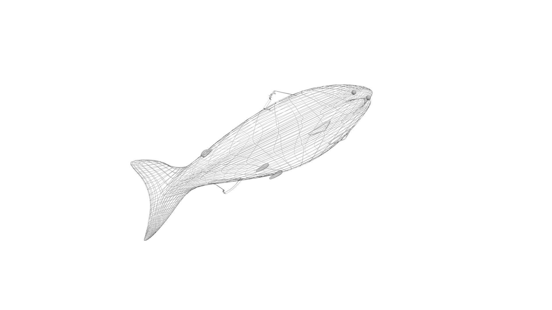 Sea Creatures Collection 3D model_12