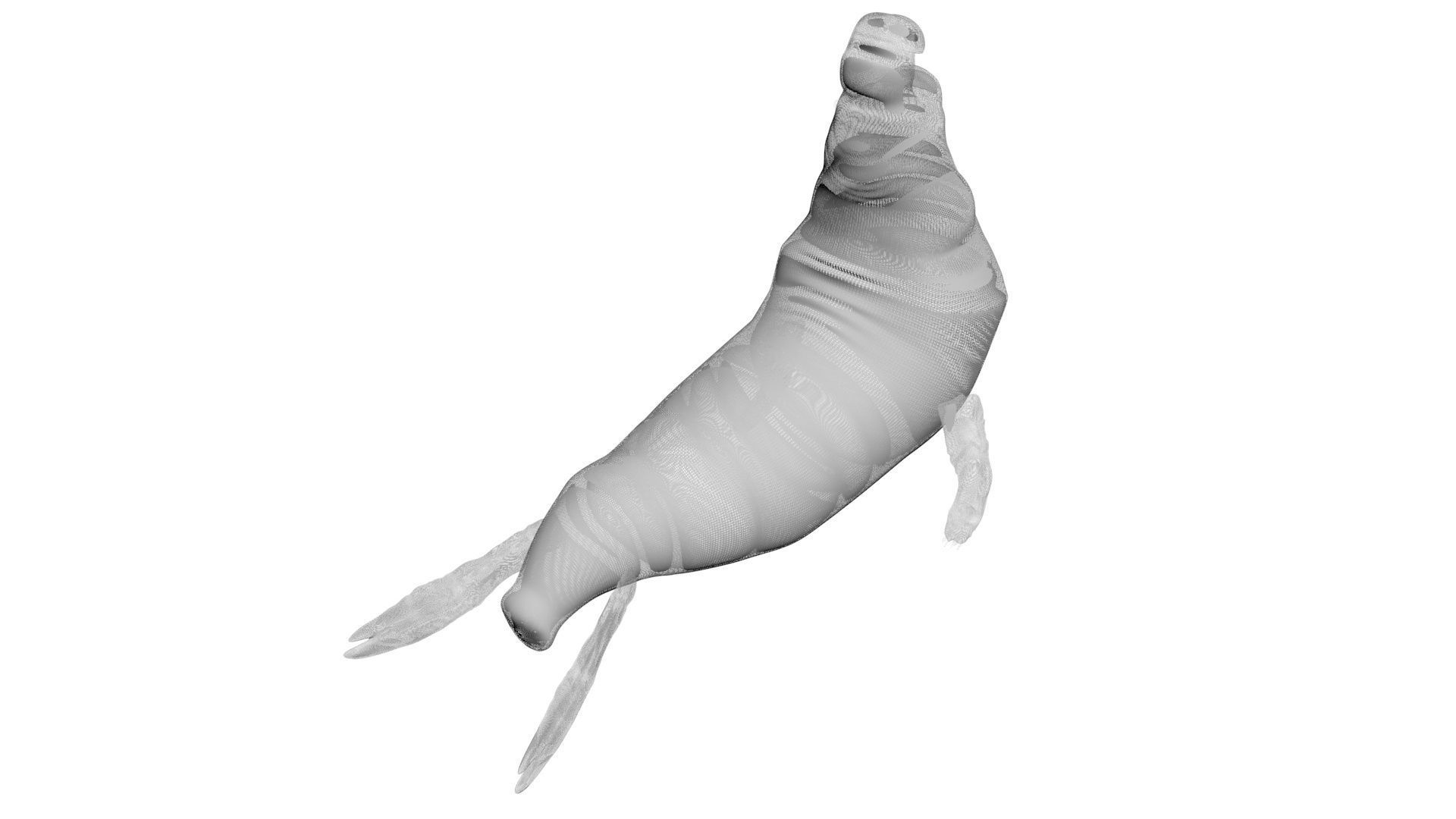 Sea Creatures Collection 3D model_83