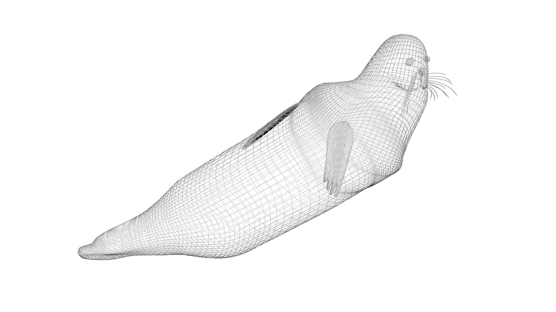 Sea Creatures Collection 3D model_47