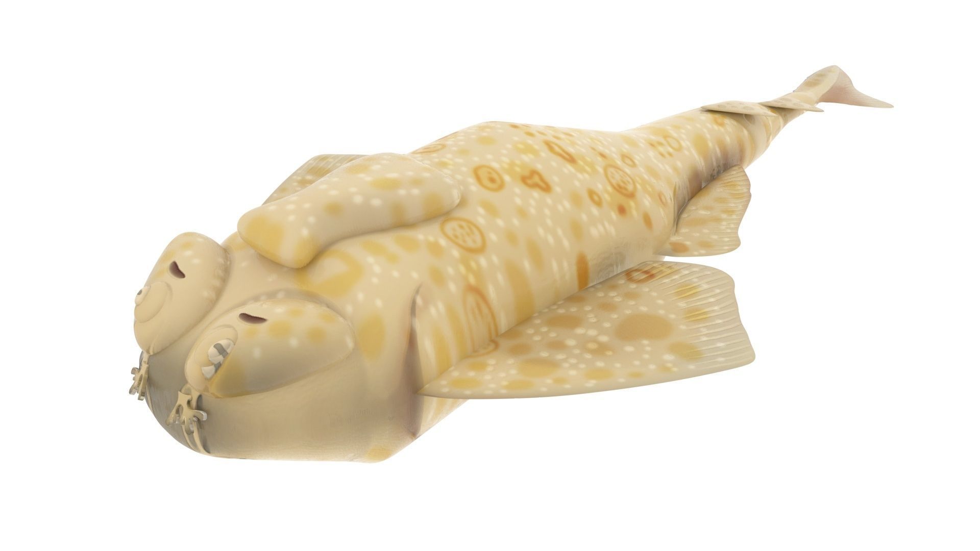 Sea Creatures Collection 3D model_70
