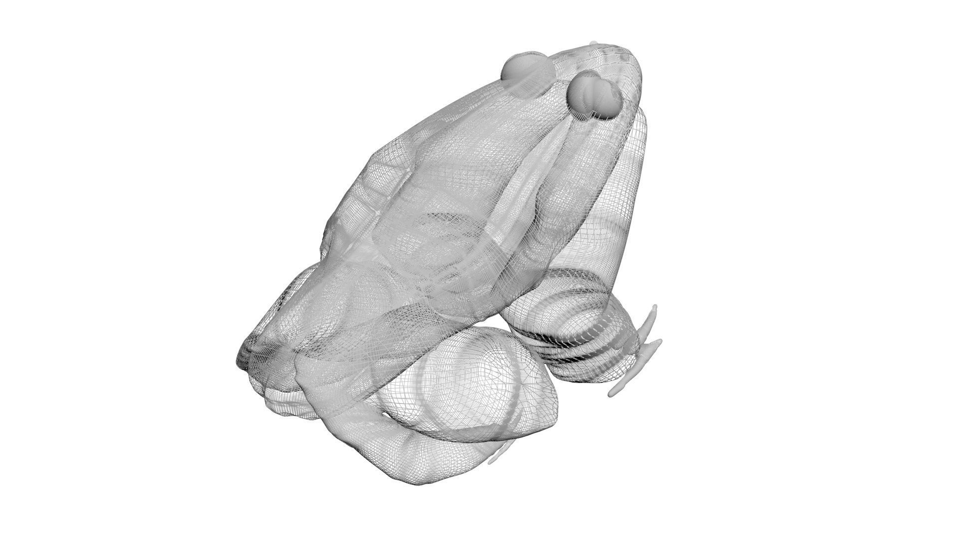 Sea Creatures Collection 3D model_31