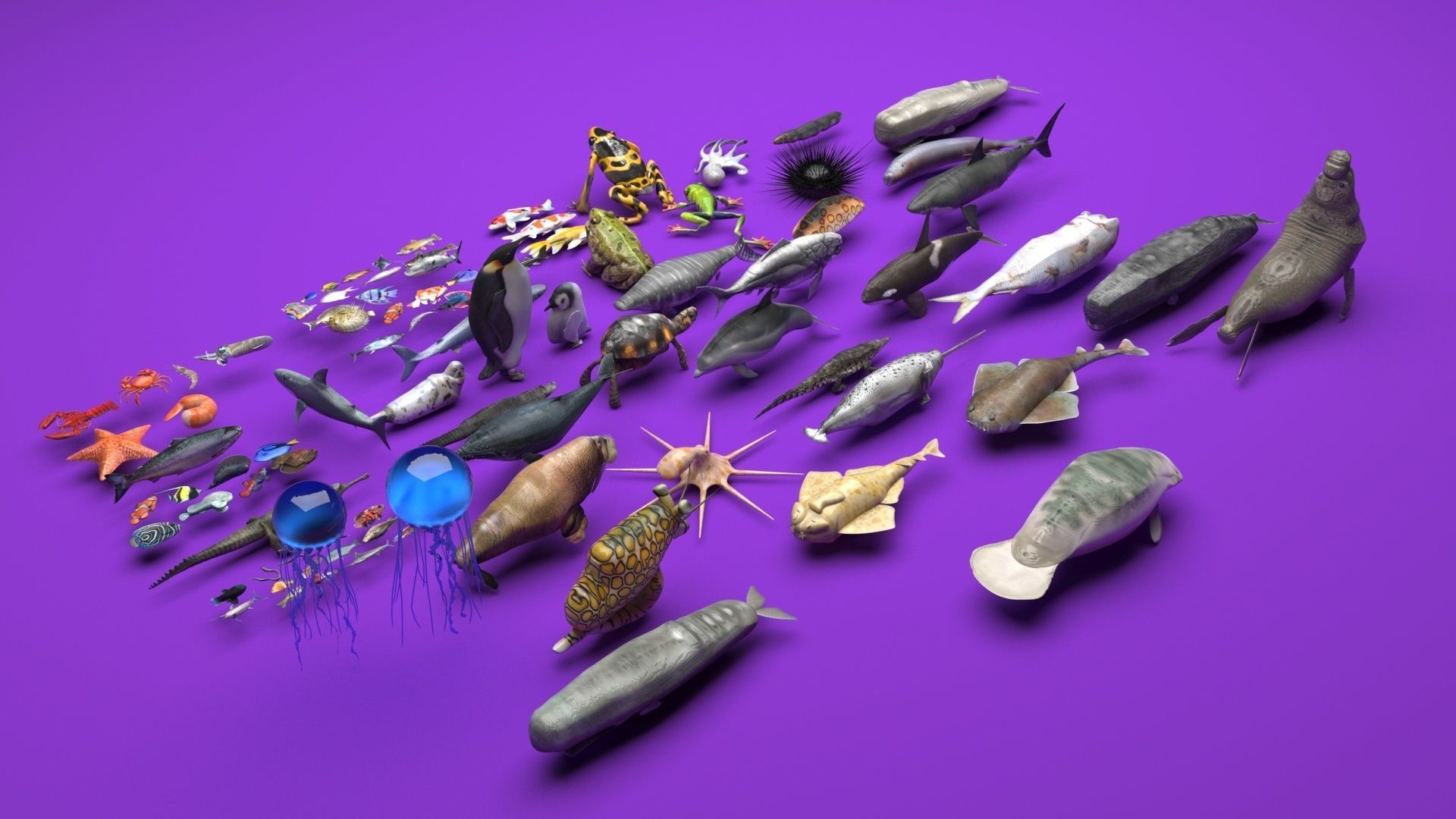 Sea Creatures Collection 3D model_1