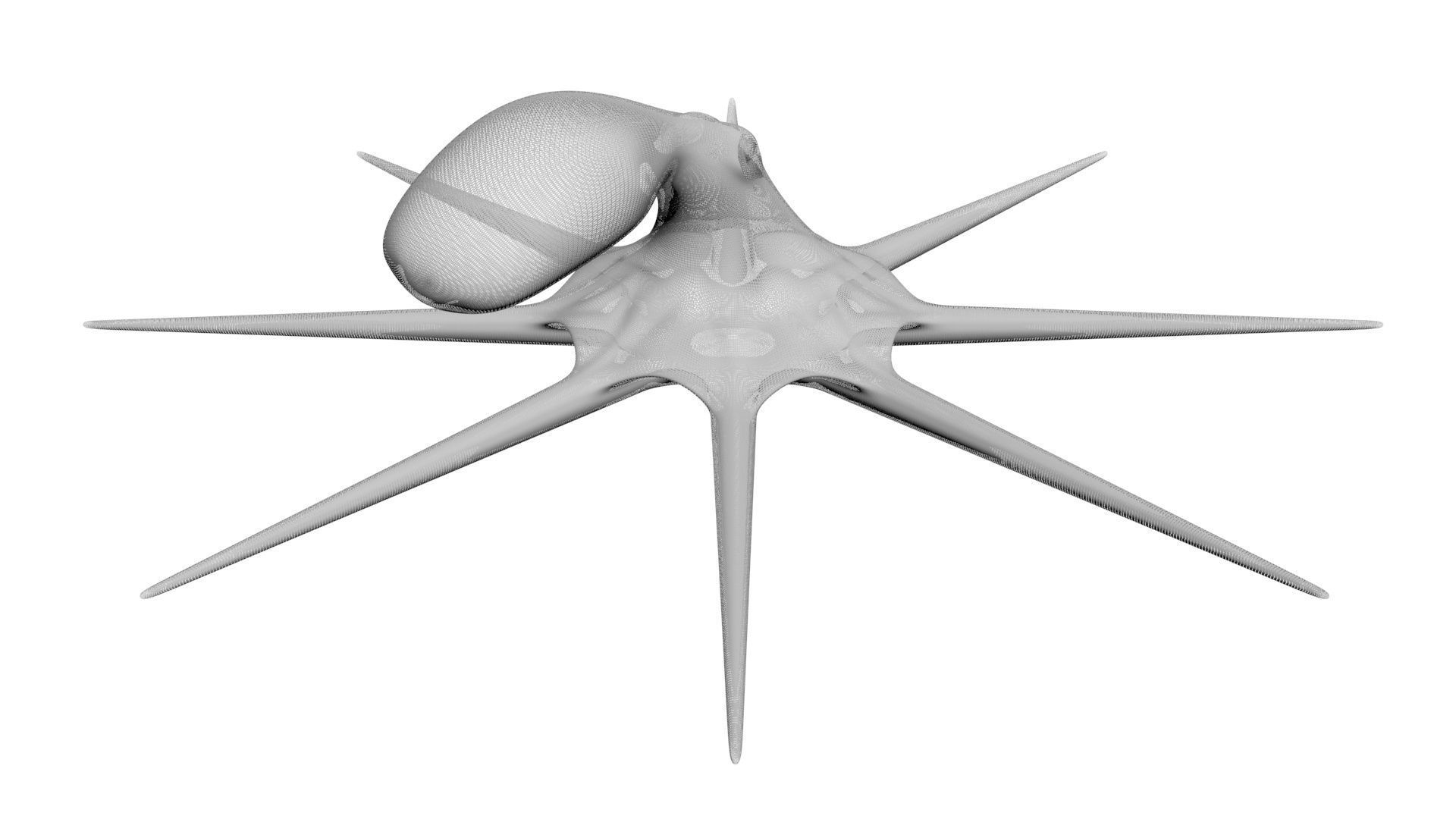 Sea Creatures Collection 3D model_49