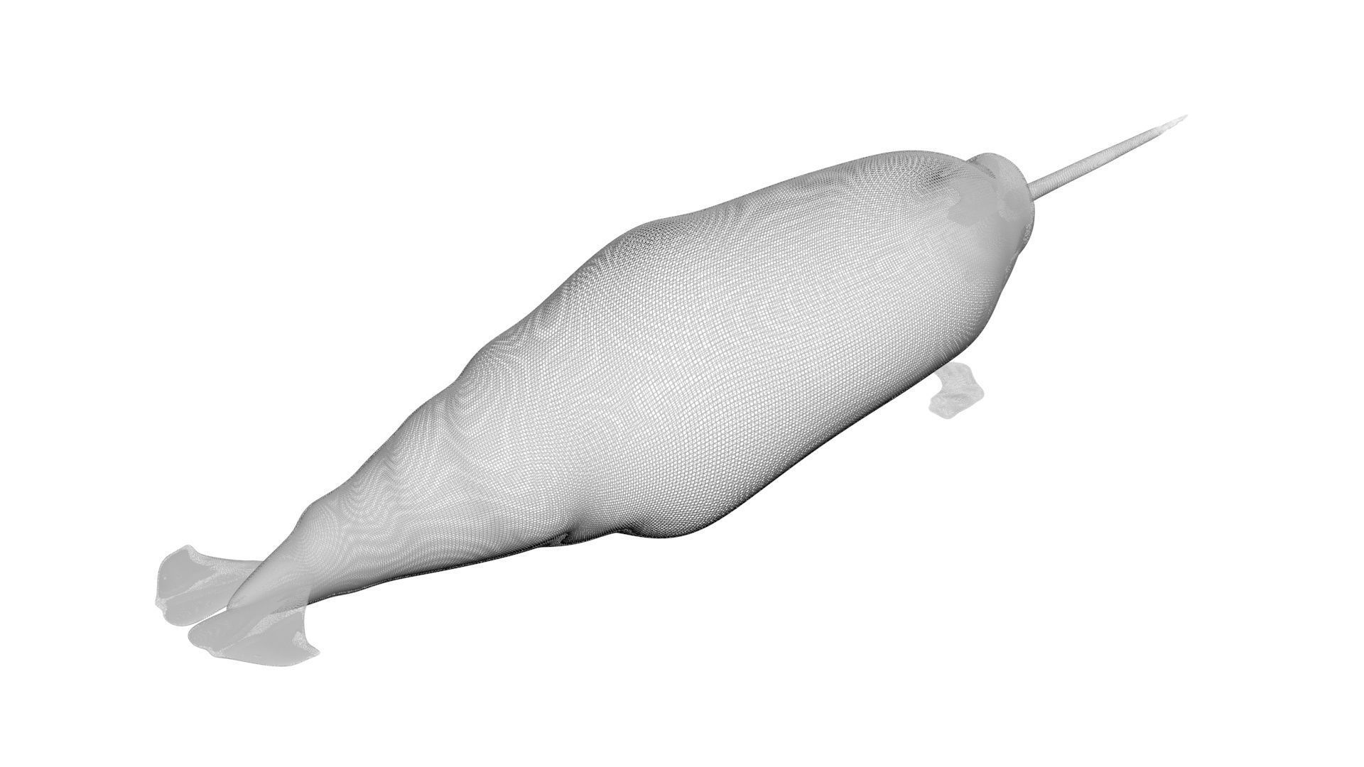 Sea Creatures Collection 3D model_67