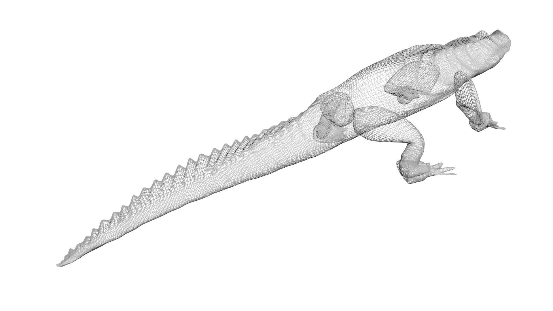 Sea Creatures Collection 3D model_25