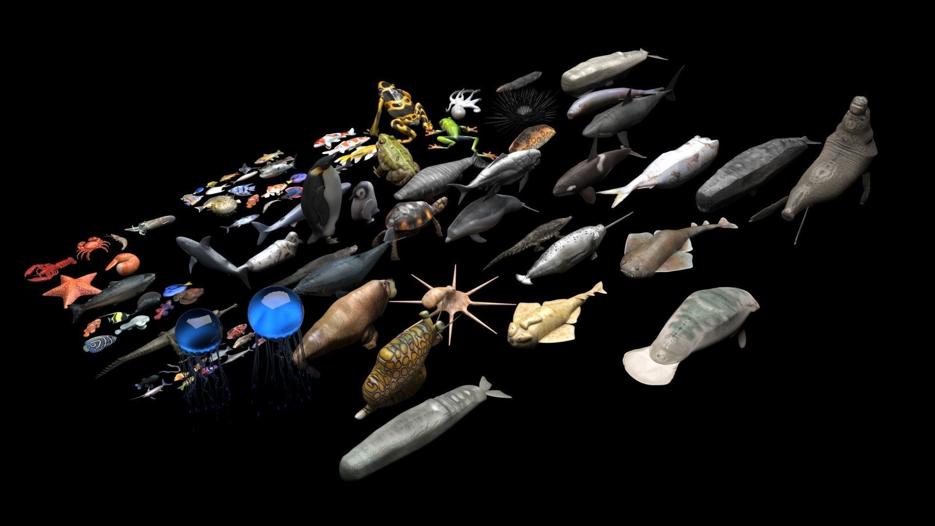 Sea Creatures Collection 3D model_2