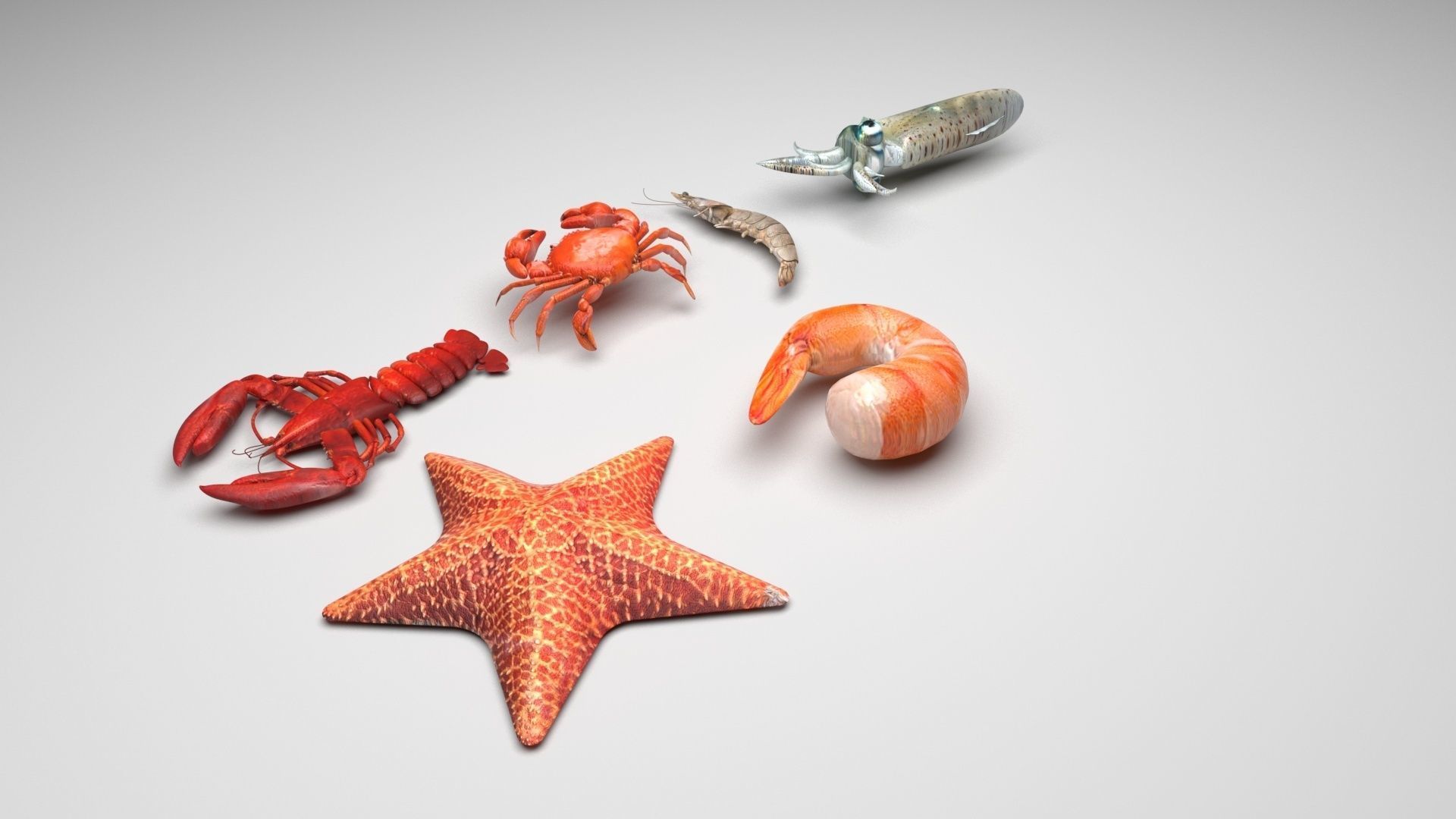 Sea Creatures Collection 3D model_5