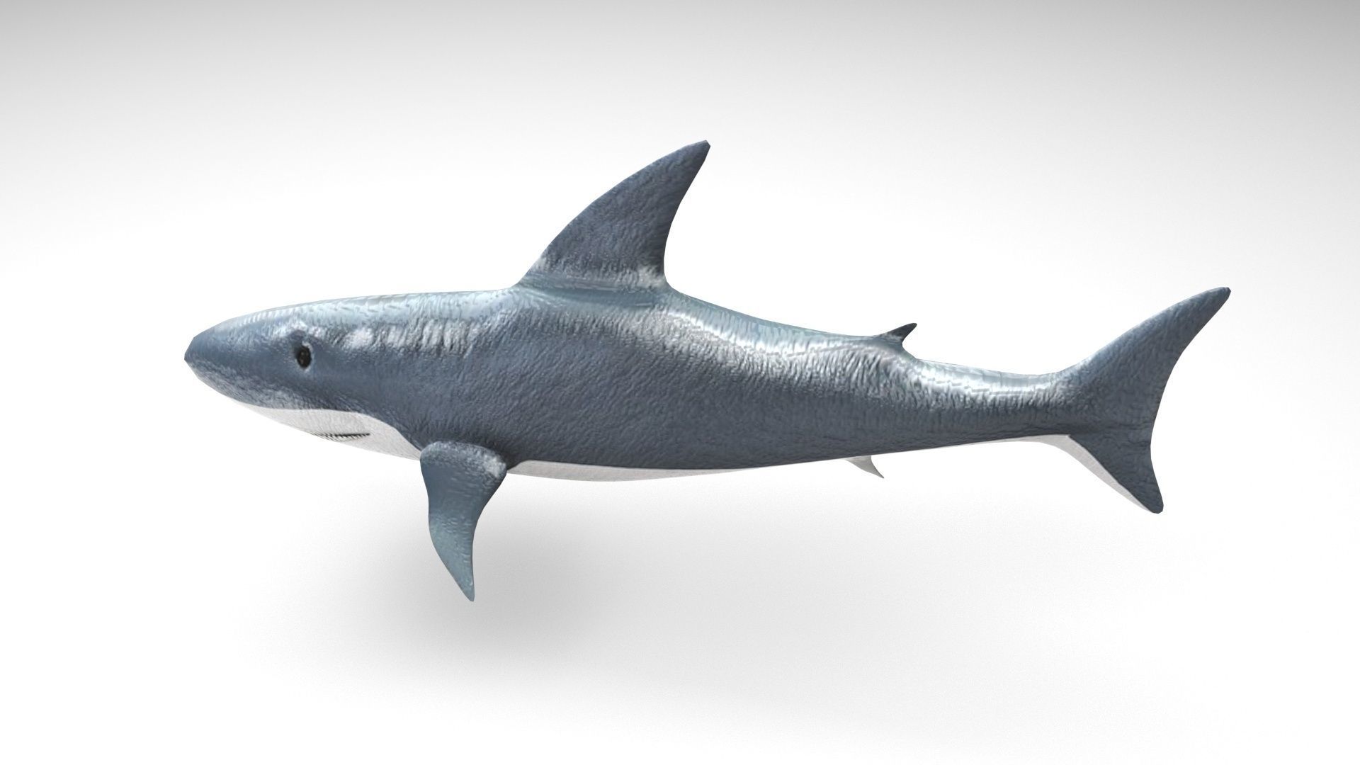 Sea Creatures Collection 3D model_7