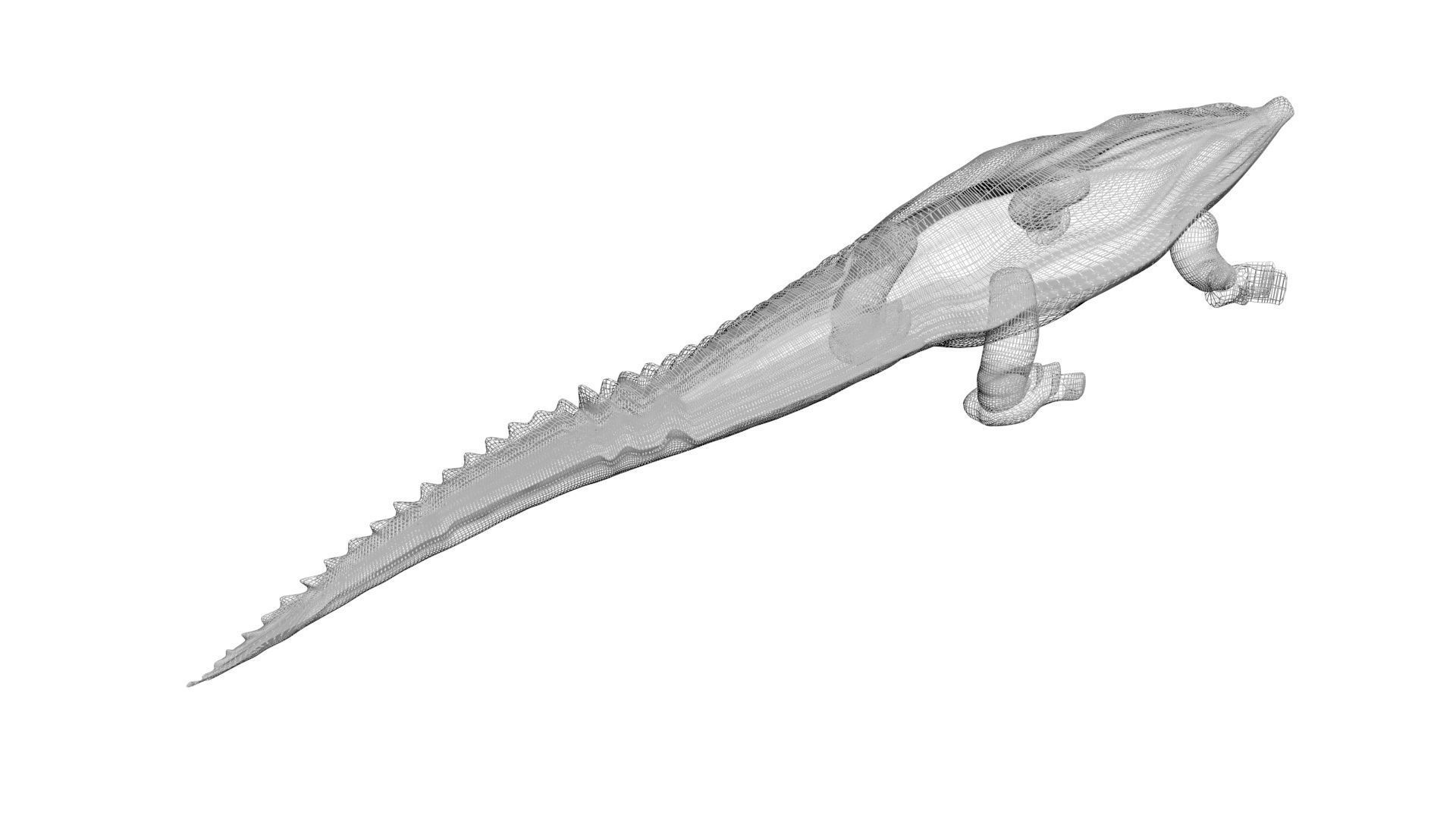 Sea Creatures Collection 3D model_23