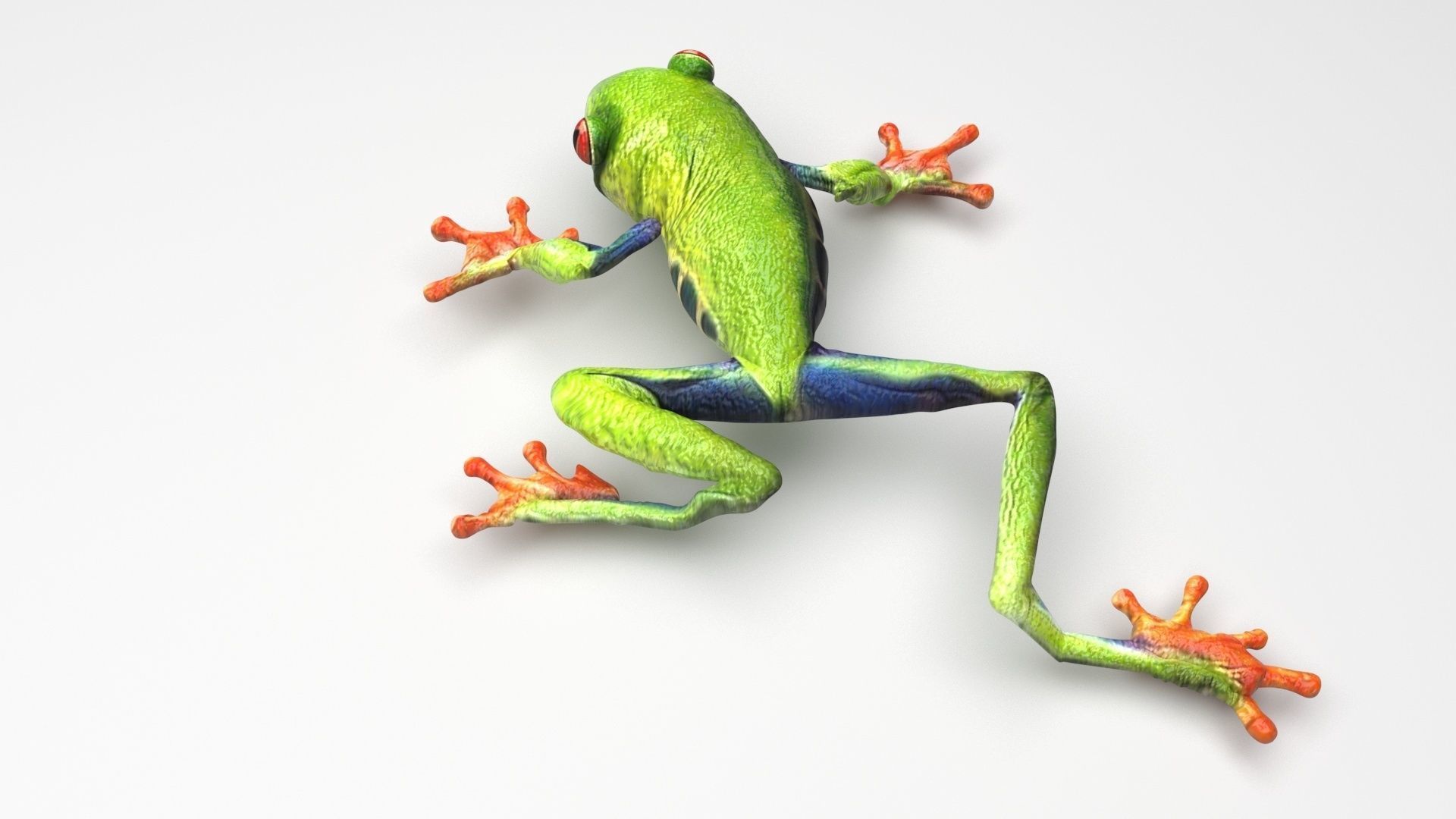 Sea Creatures Collection 3D model_28