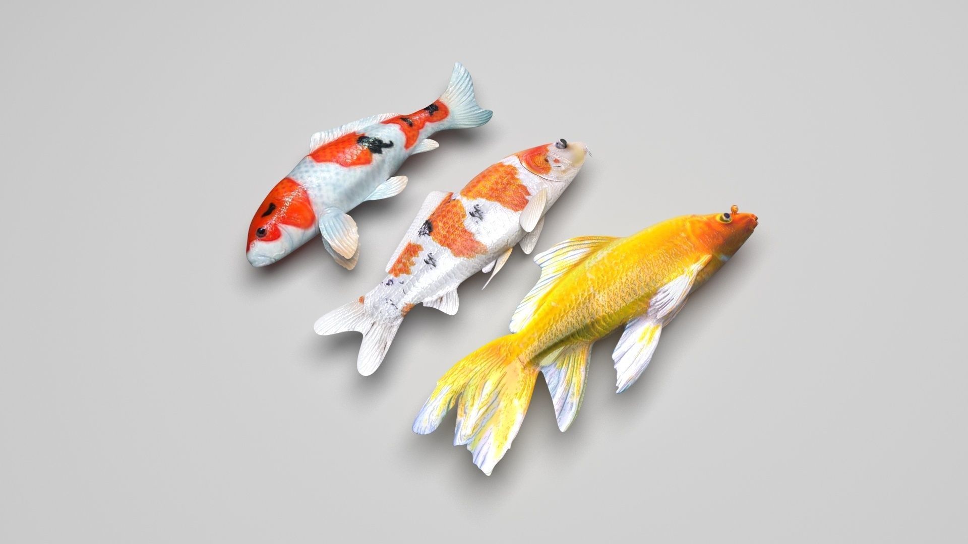 Sea Creatures Collection 3D model_42