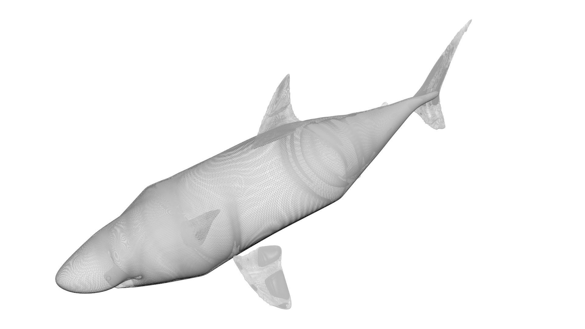 Sea Creatures Collection 3D model_57