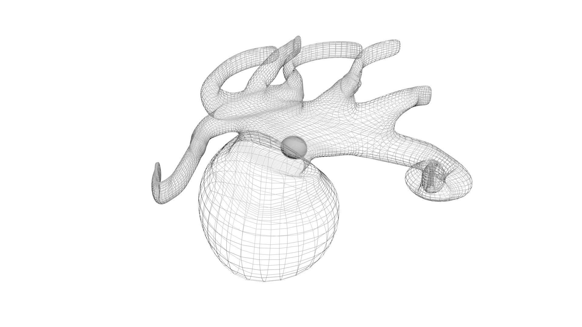 Sea Creatures Collection 3D model_21