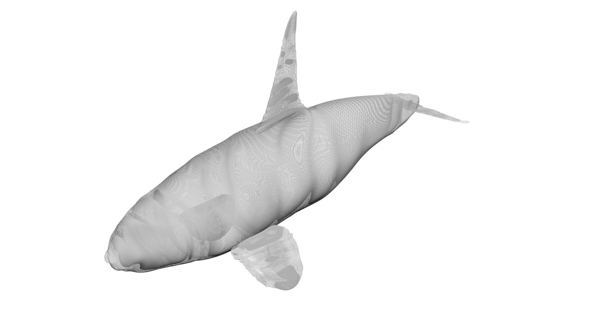 Sea Creatures Collection 3D model_61