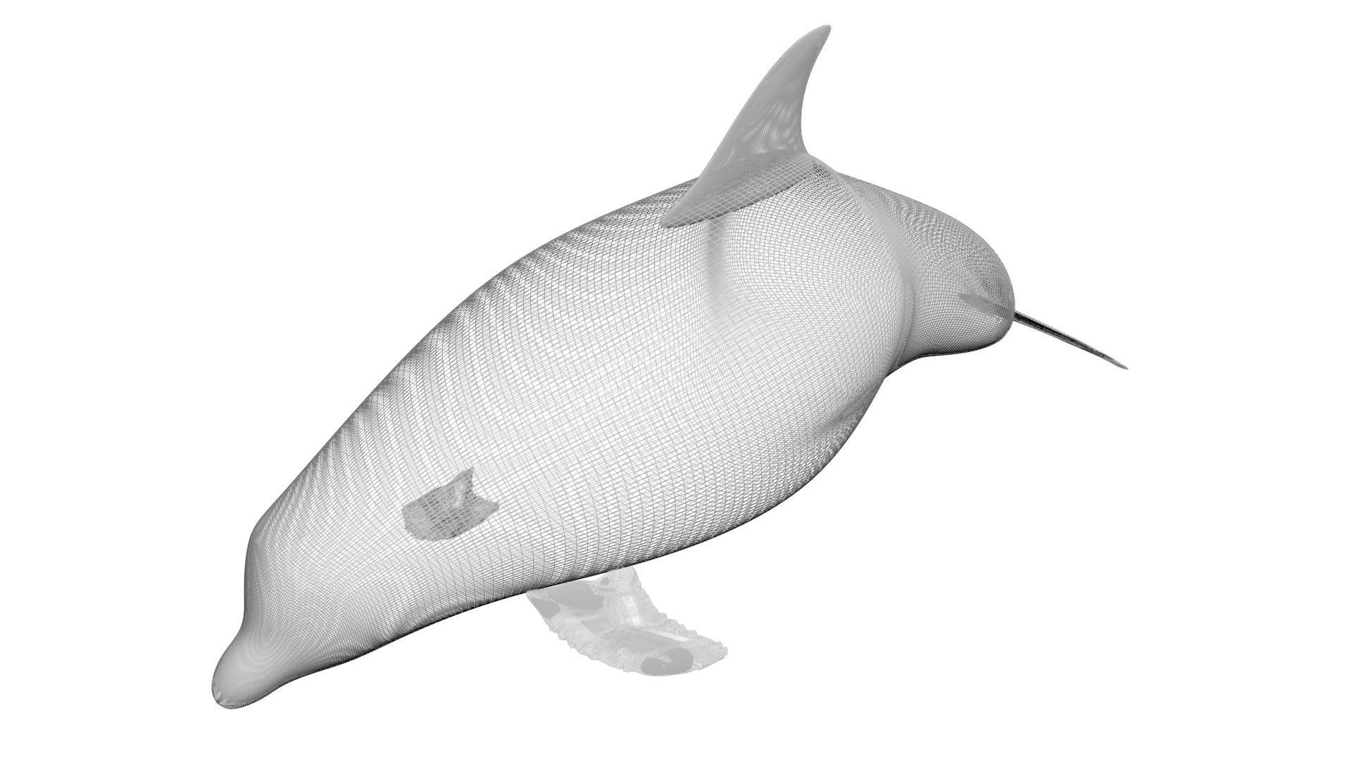 Sea Creatures Collection 3D model_51
