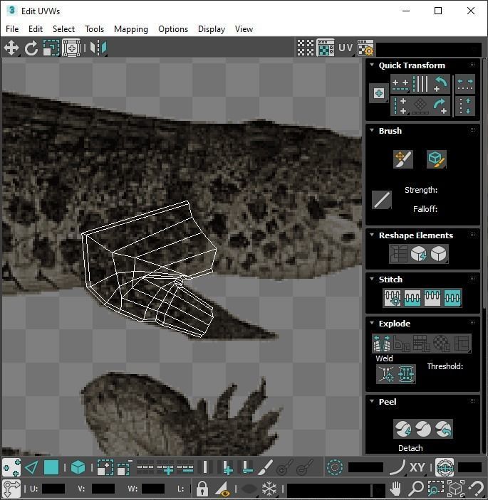 Sea Creatures Collection 3D model_94