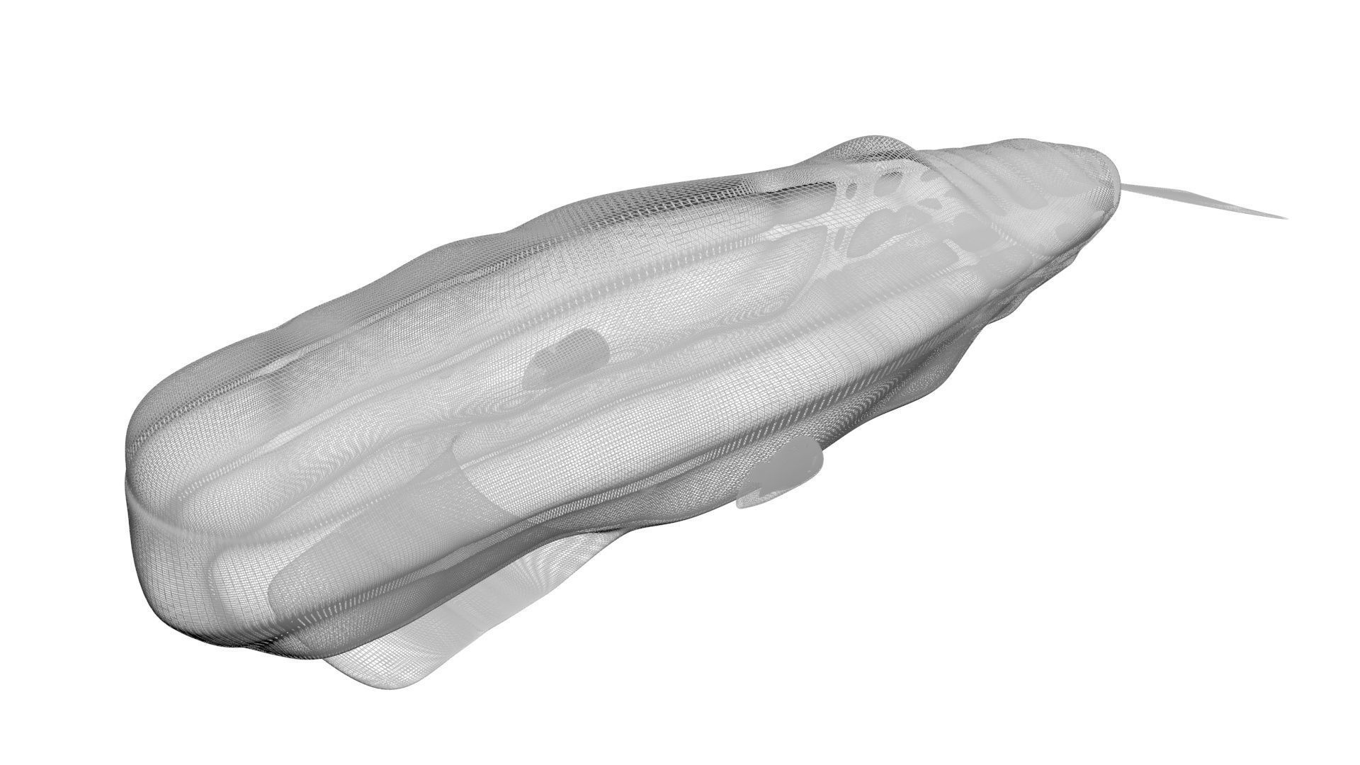 Sea Creatures Collection 3D model_77