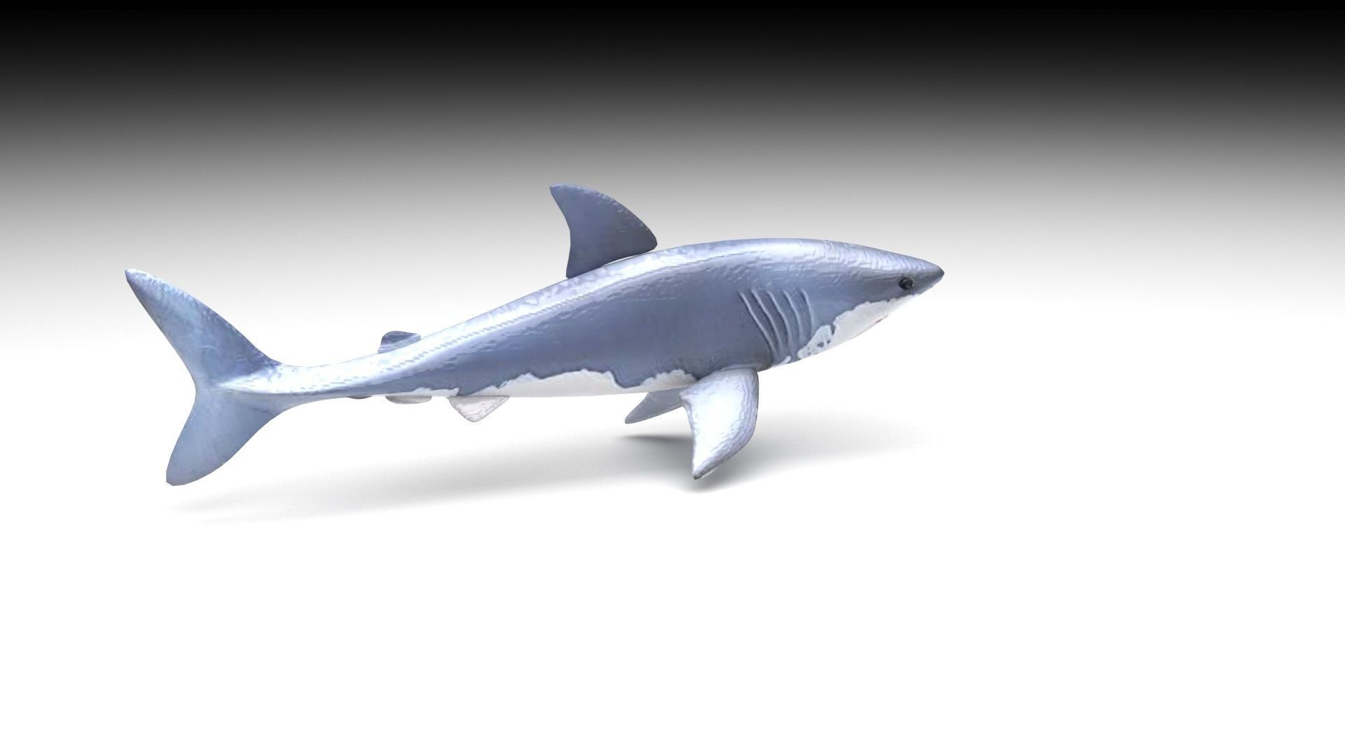 Sea Creatures Collection 3D model_9