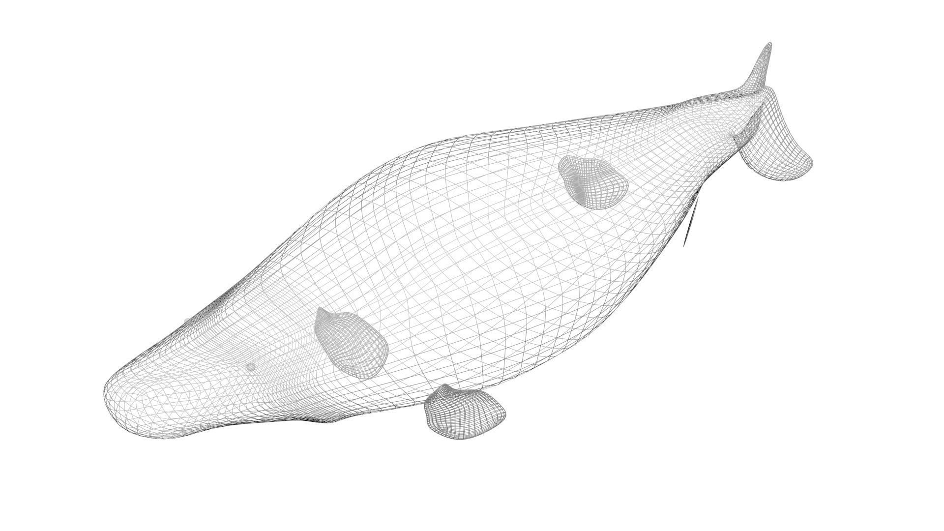 Sea Creatures Collection 3D model_37