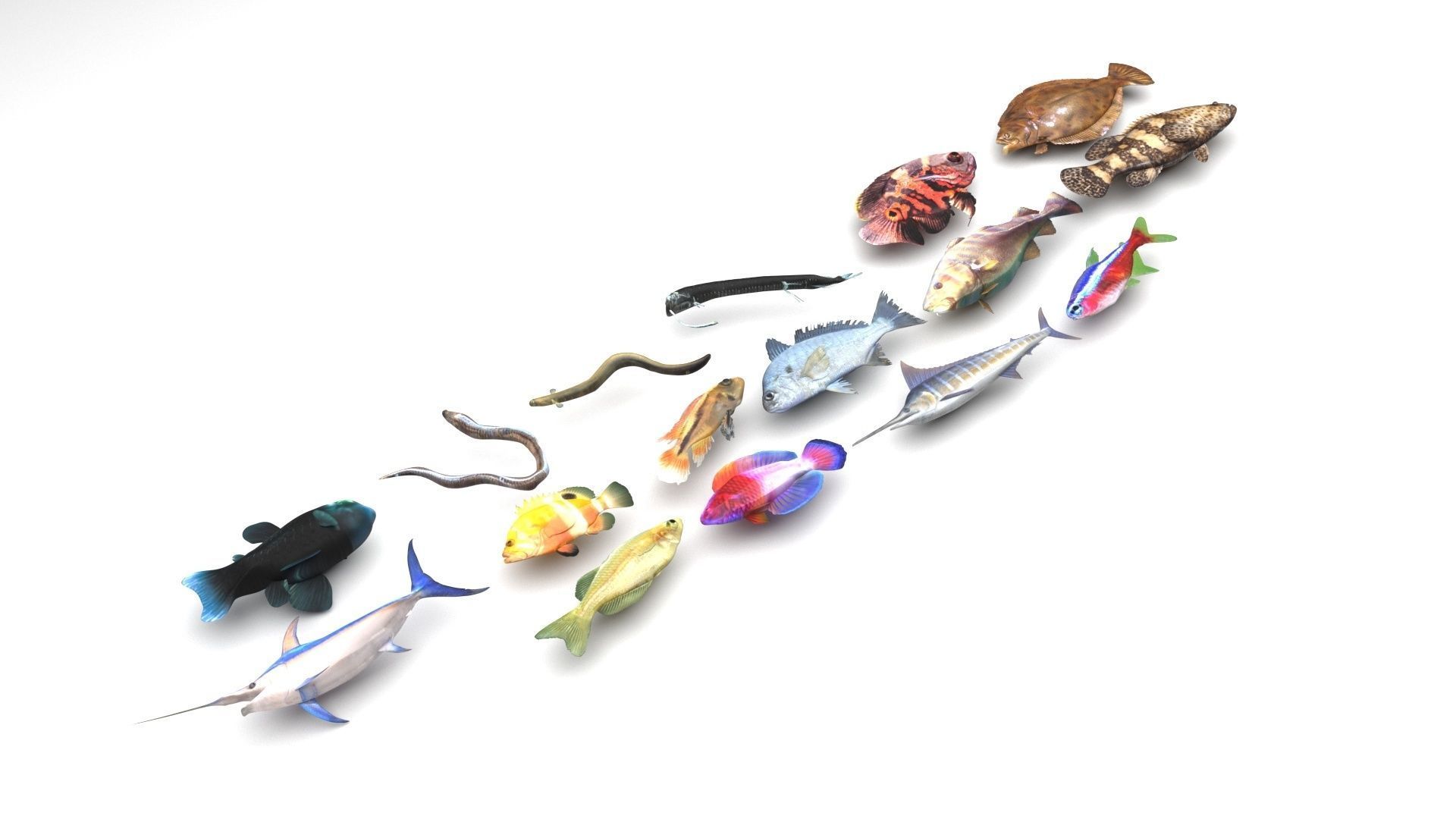 Sea Creatures Collection 3D model_16