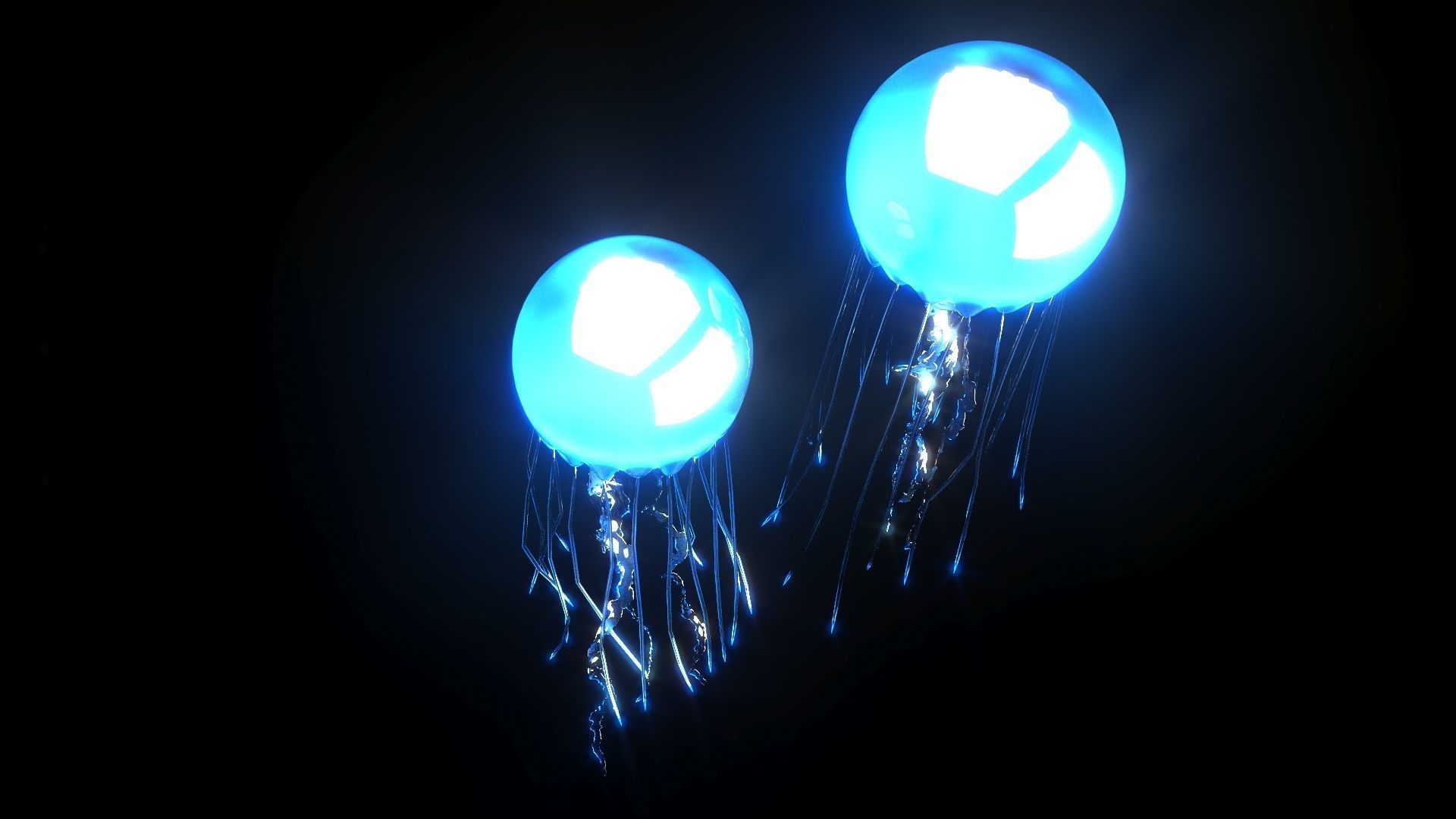 Sea Creatures Collection 3D model_38