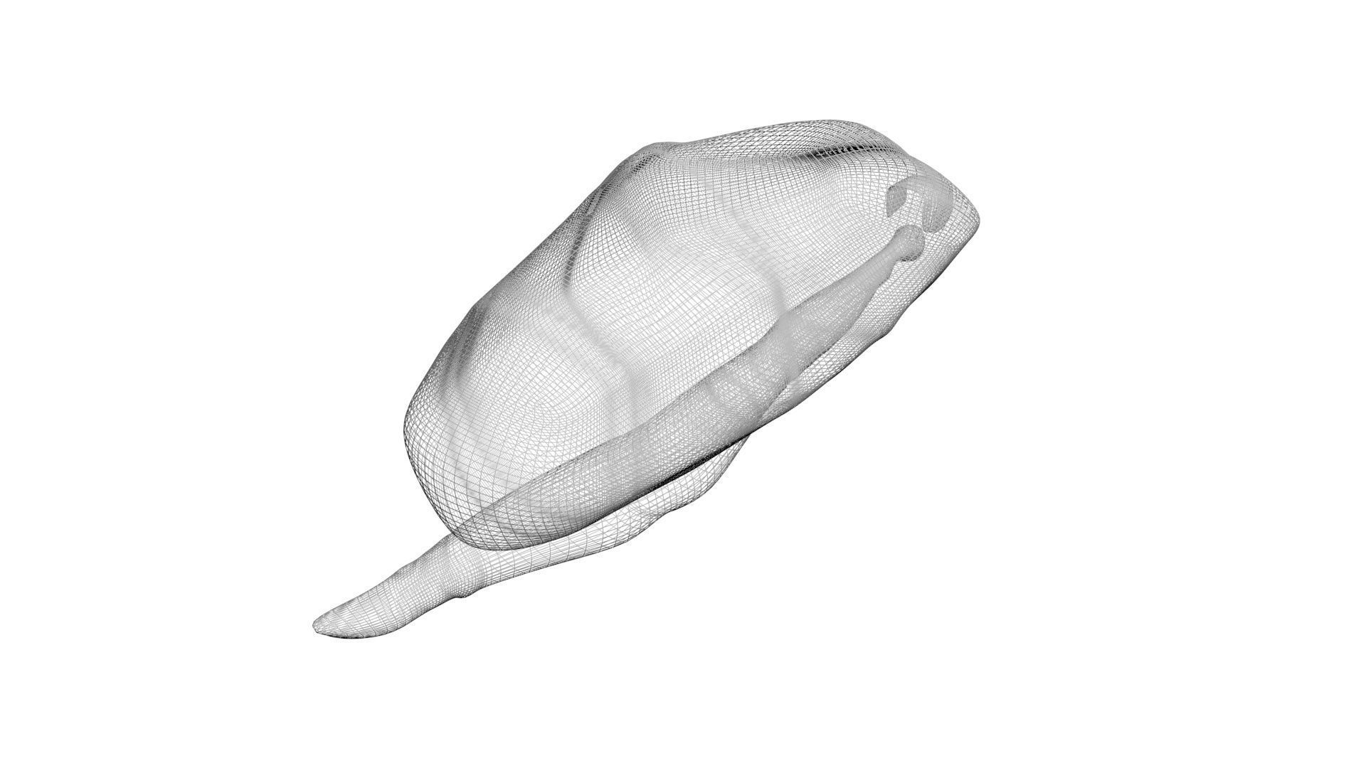 Sea Creatures Collection 3D model_45