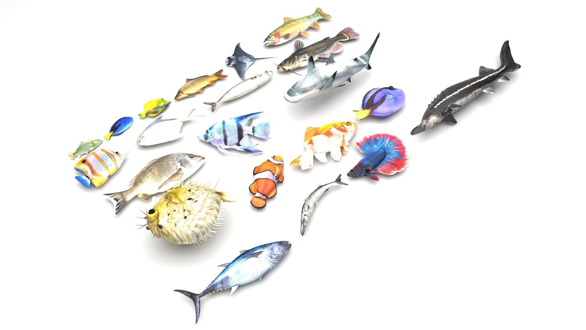 Sea Creatures Collection 3D model_3