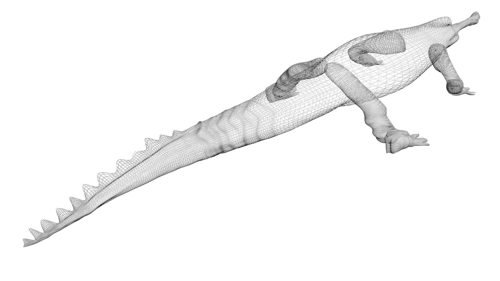 Sea Creatures Collection 3D model_27