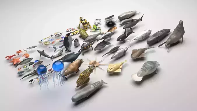 Sea Creatures Collection 3D model