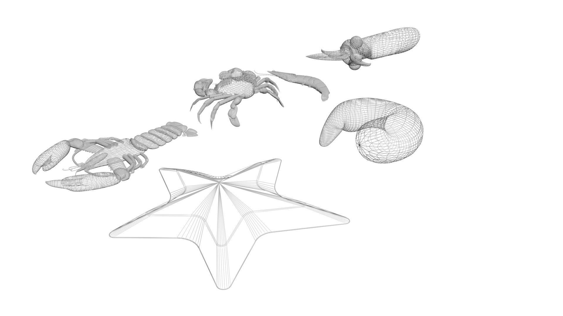 Sea Creatures Collection 3D model_6
