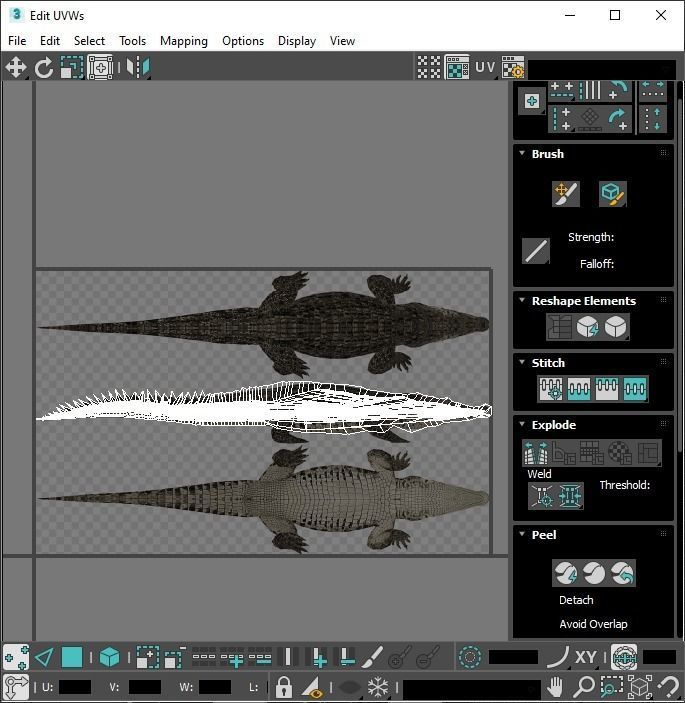 Sea Creatures Collection 3D model_95