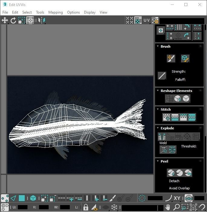 Sea Creatures Collection 3D model_90