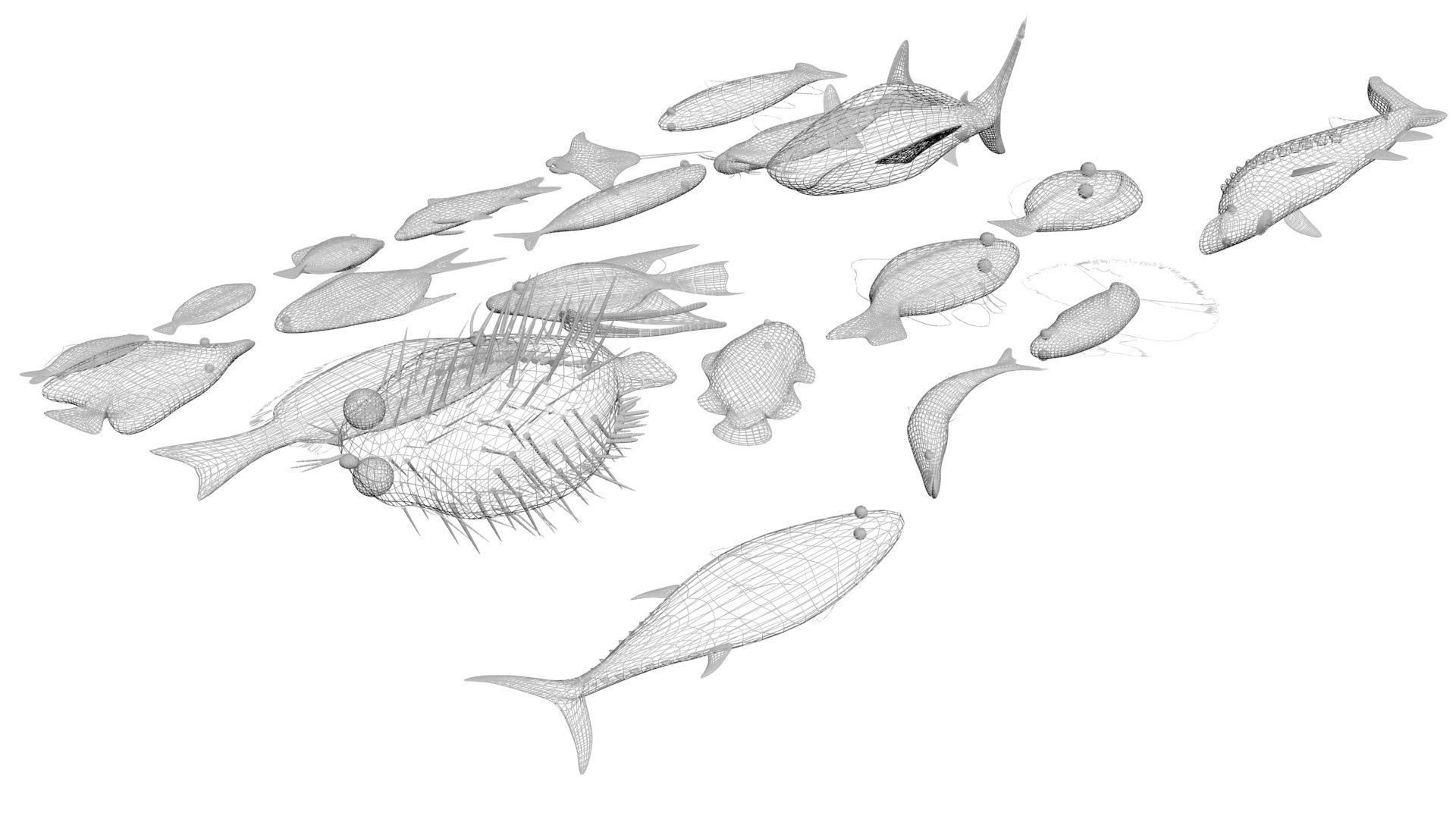 Sea Creatures Collection 3D model_4