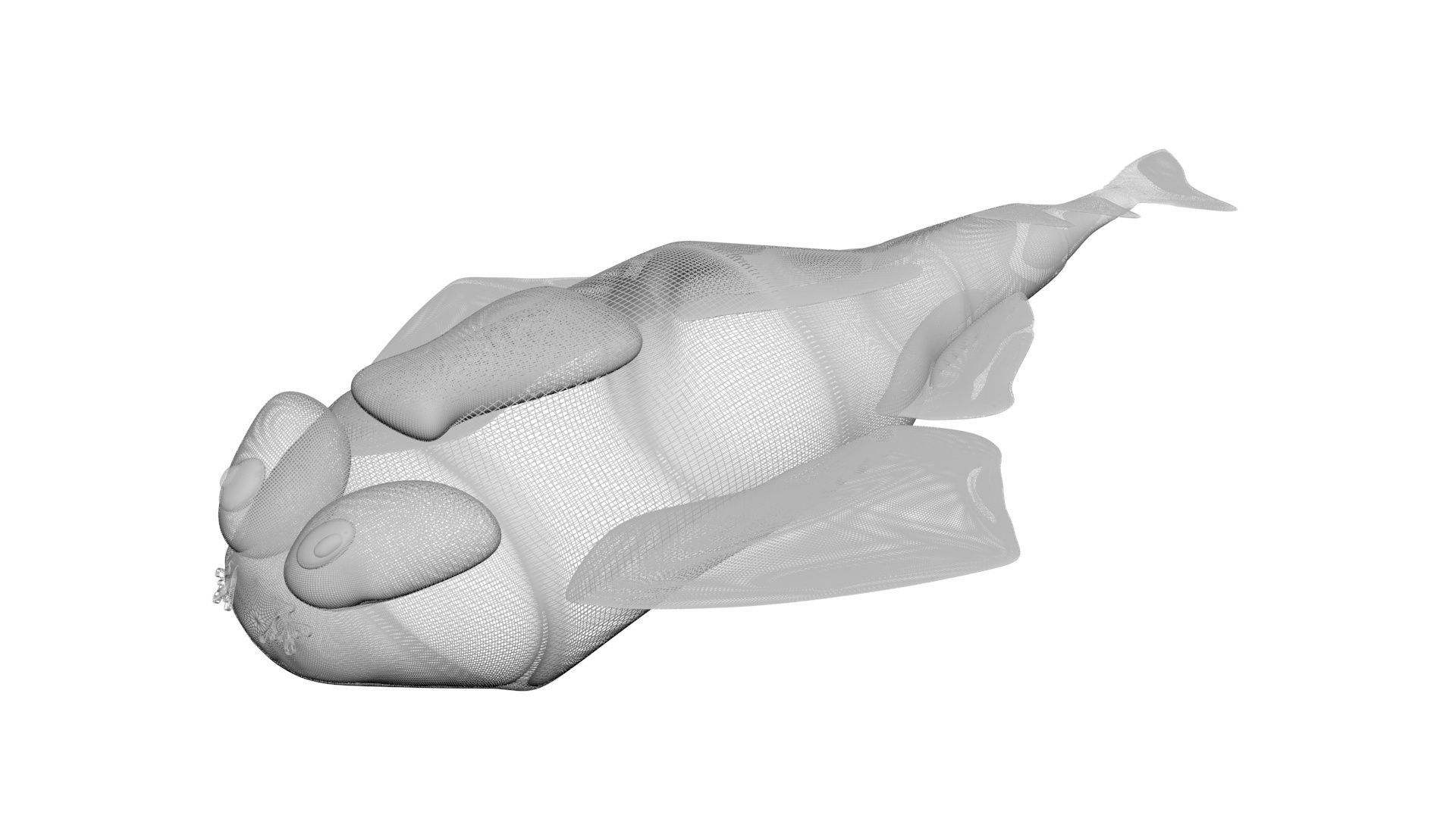 Sea Creatures Collection 3D model_71