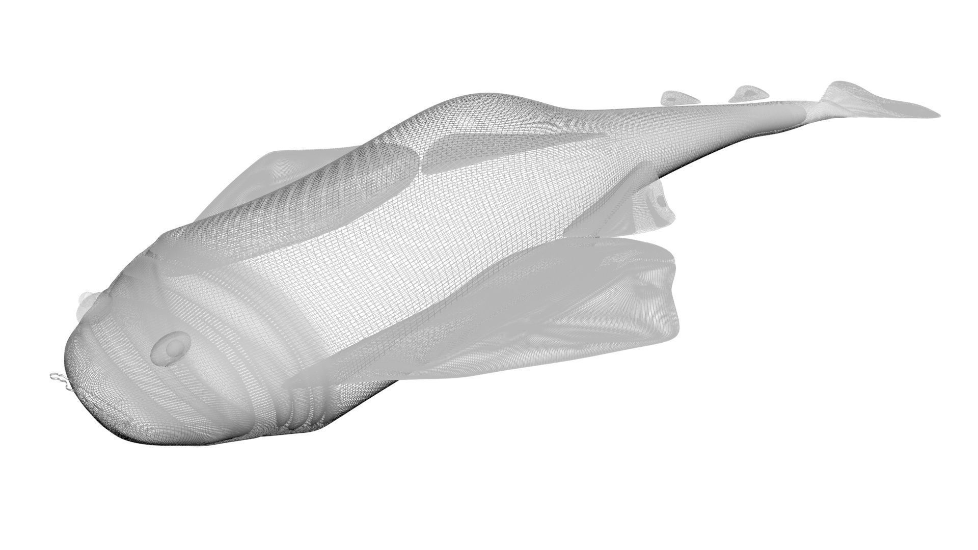 Sea Creatures Collection 3D model_73