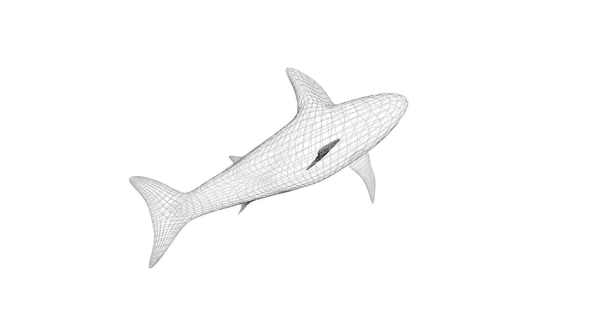 Sea Creatures Collection 3D model_8