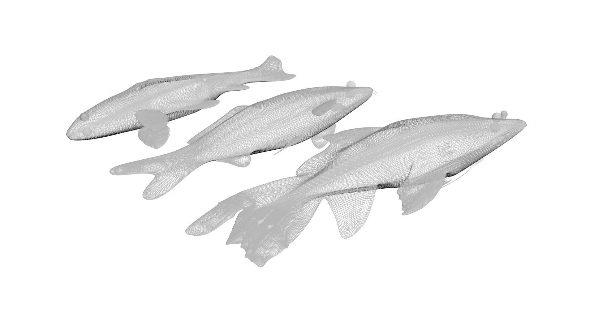 Sea Creatures Collection 3D model_43