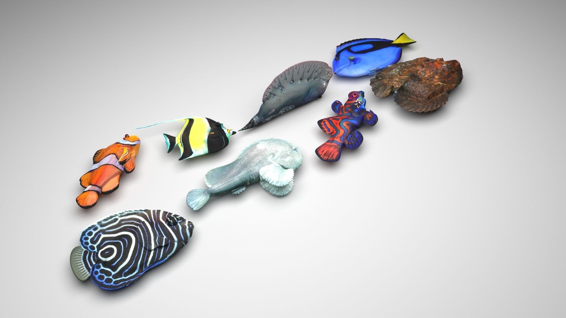 Sea Creatures Collection 3D model_13
