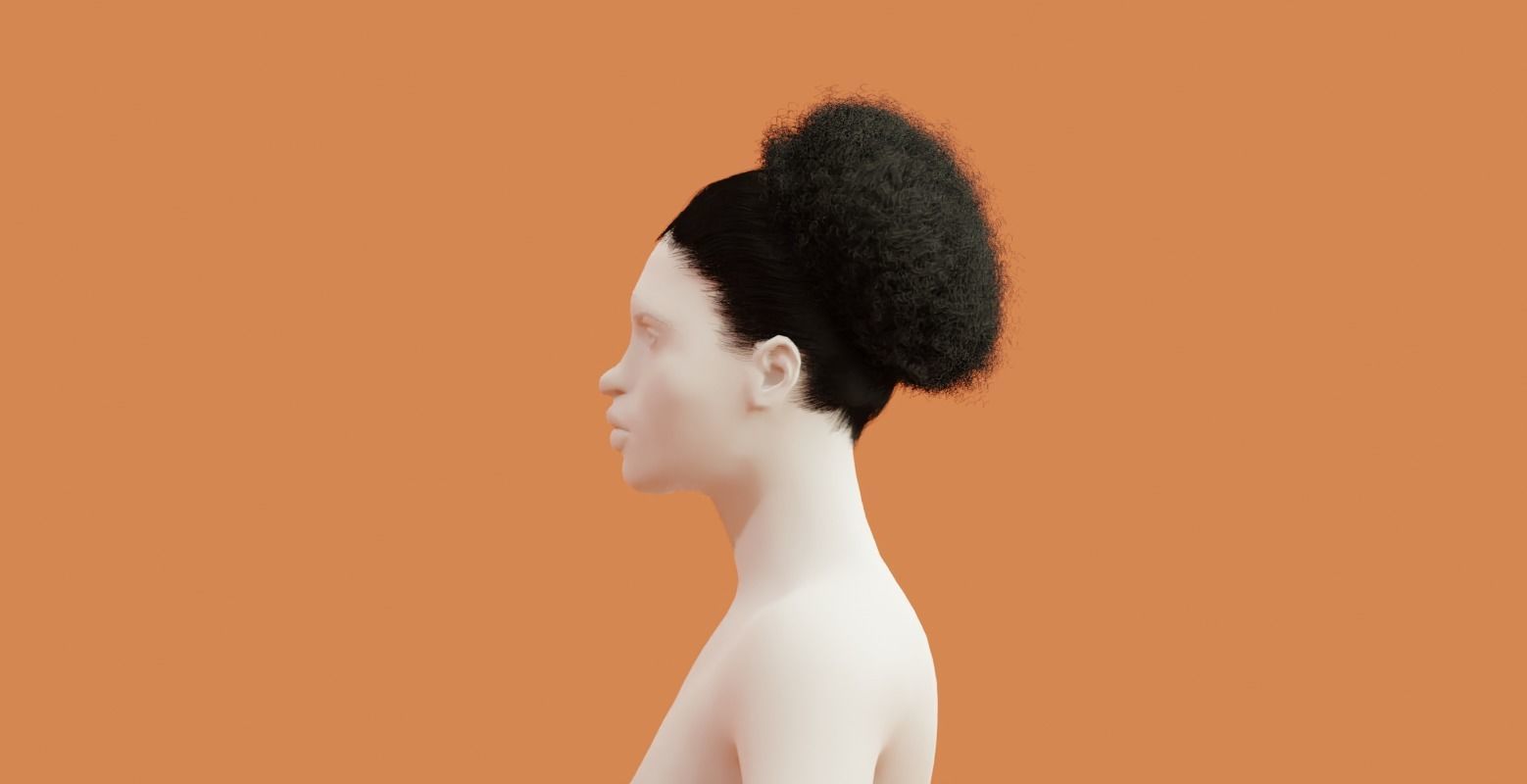 Pony Puff Black Hair 3D model_6