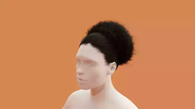 Pony Puff Black Hair 3D model