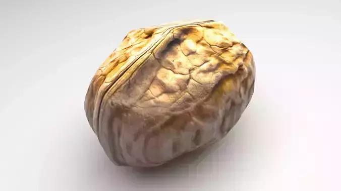 Walnut Shell