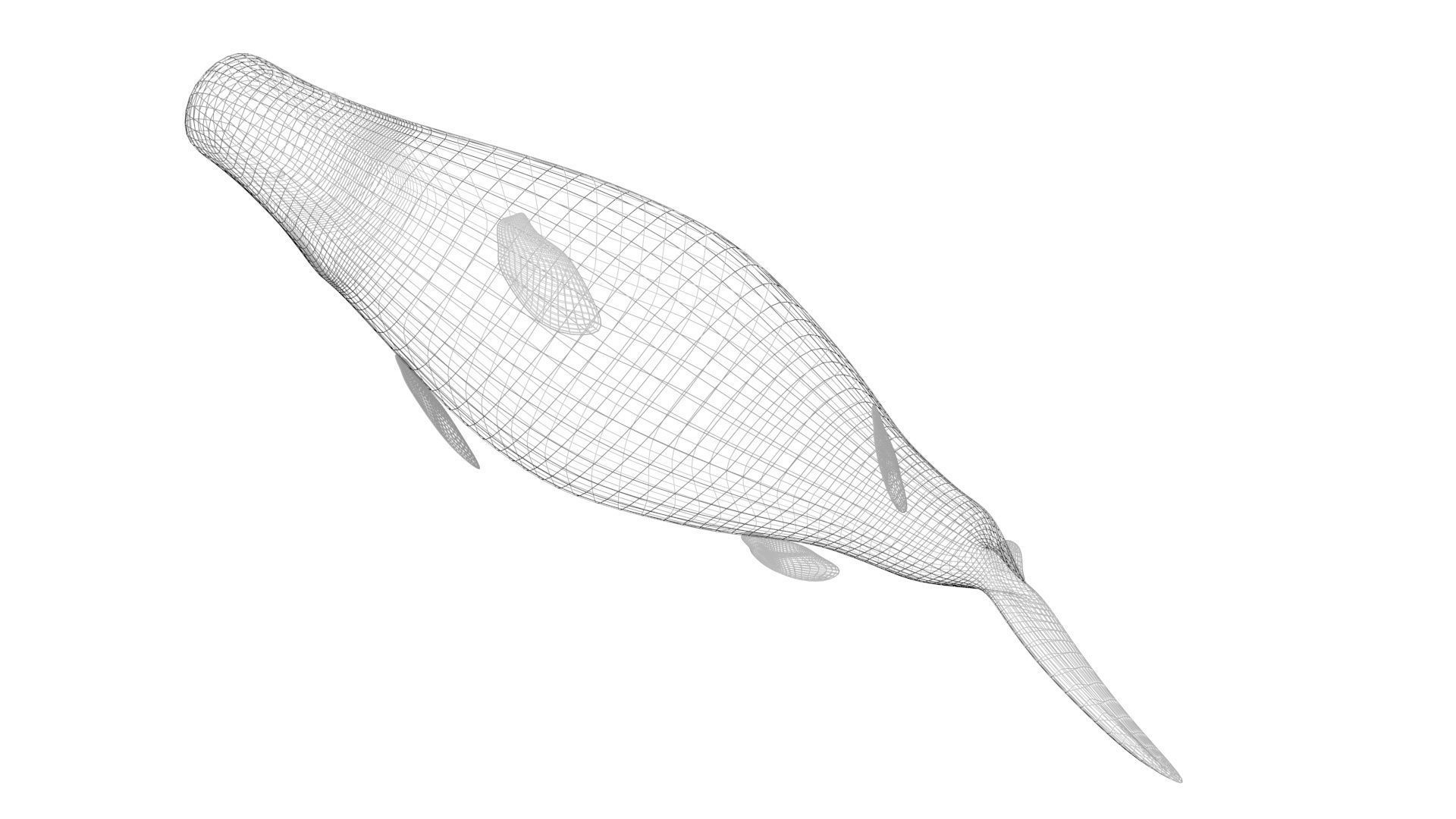 Mosasaurus 3D model_28